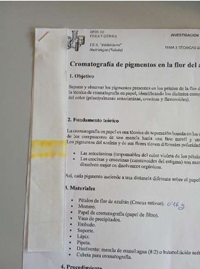 Proyecto innovación