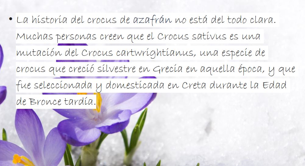 Proyecto innovación